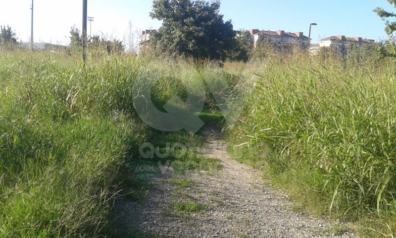 VENARIA - La segnalazione: «Ecco il degrado di Corona Verde»