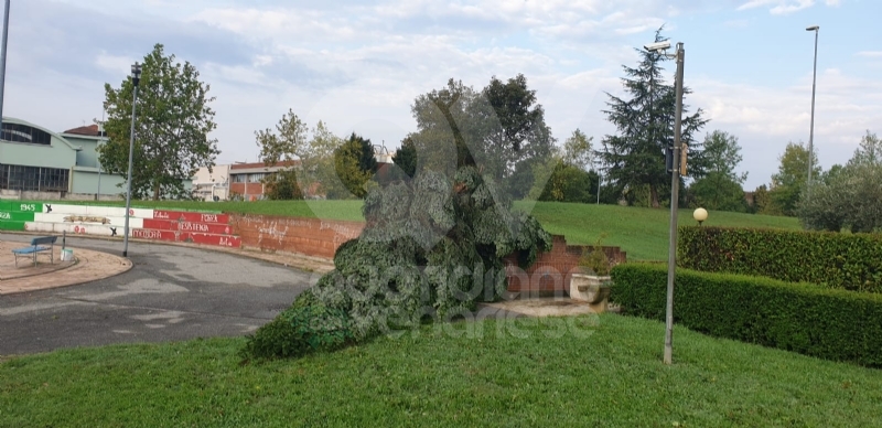VENARIA-BORGARO-CASELLE-MAPPANO - Maltempo: tetti scoperchiati e alberi abbattuti