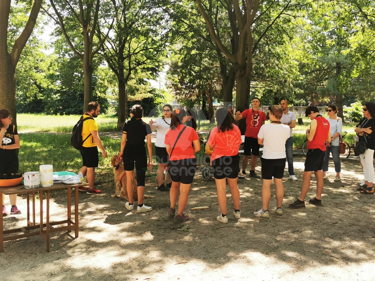 VENARIA - Panchine rimesse a nuovo al parco Magellano di Altessano grazie al Gruppo Scout Venaria Reale 1 - FOTO