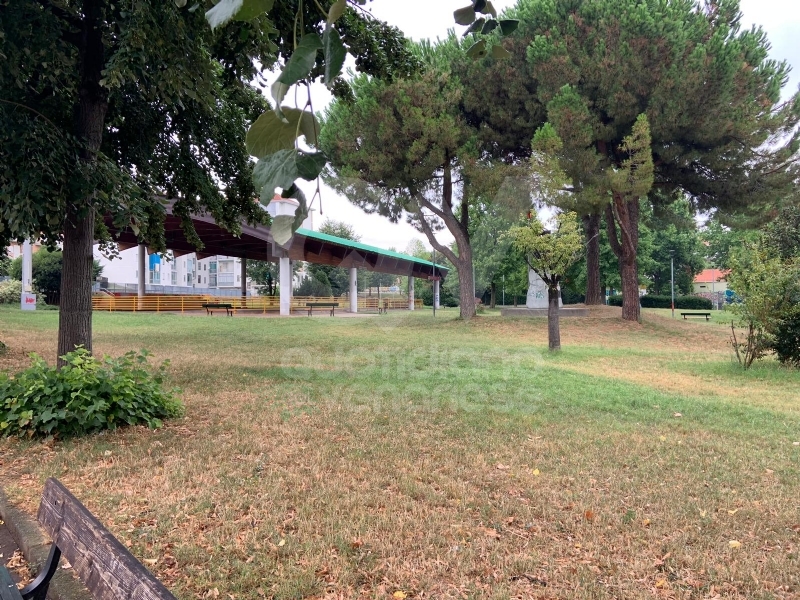 RIVOLI - Nuovo look per le aree verdi comunali: pulizia e taglio dell'erba