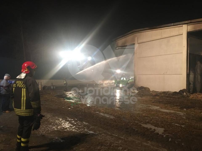 COLLEGNO - Incendio alla Serpera: dopo 24 ore, situazione verso la normalità - FOTO