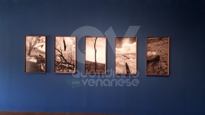 VENARIA - Le guerre immortalate negli scatti di Pellegrin nella mostra «Un'Antologia» alla Reggia - FOTO