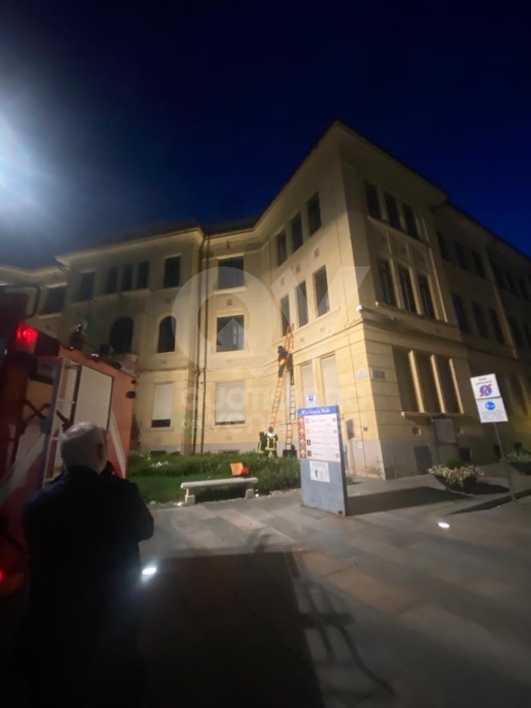 VENARIA - Tre nidi di calabroni sulla facciata della «De Amicis»: rimossi dai vigili del fuoco - FOTO