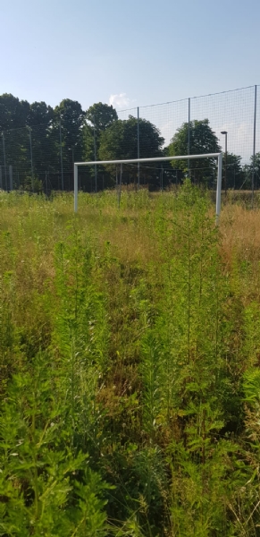 VENARIA - Muri pericolanti ed erba alta: degrado nel campo «naturale» del Don Mosso