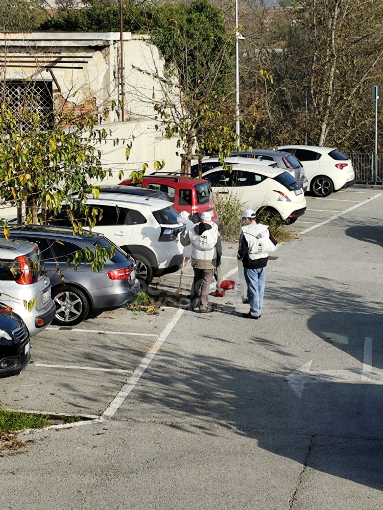 VENARIA - I dipendenti di McDonald’s puliscono il Movicentro, la stazione ferroviaria e «Corona Verde» - FOTO