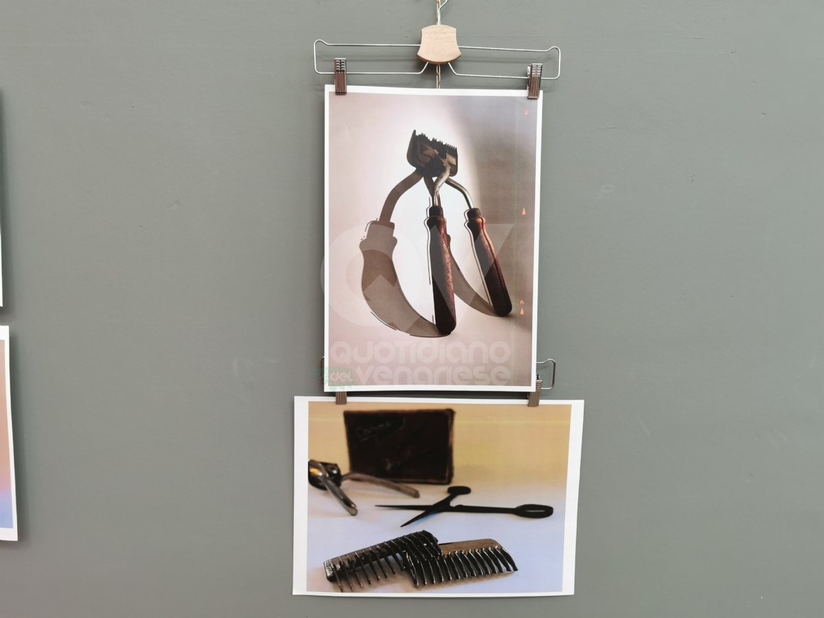 VENARIA - I ragazzi della Lessona provetti fotografi: successo per la loro mostra - FOTO