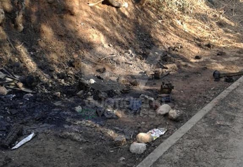 RIVOLI-GRUGLIASCO - Idioti in azione: bruciato il «villaggio felino» e alcuni alberi