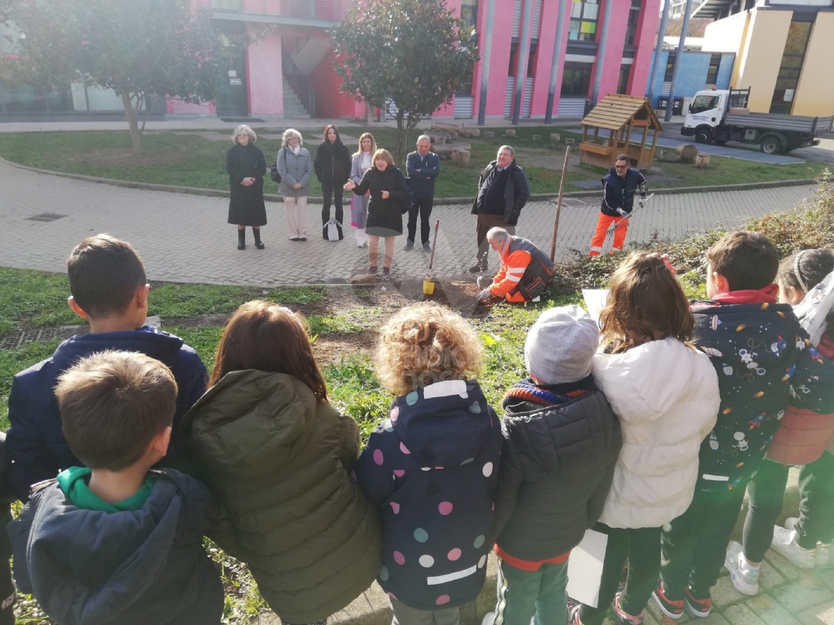 PIANEZZA - Alla primaria «Manzoni» successo per l'iniziativa «Un albero per il futuro» - FOTO