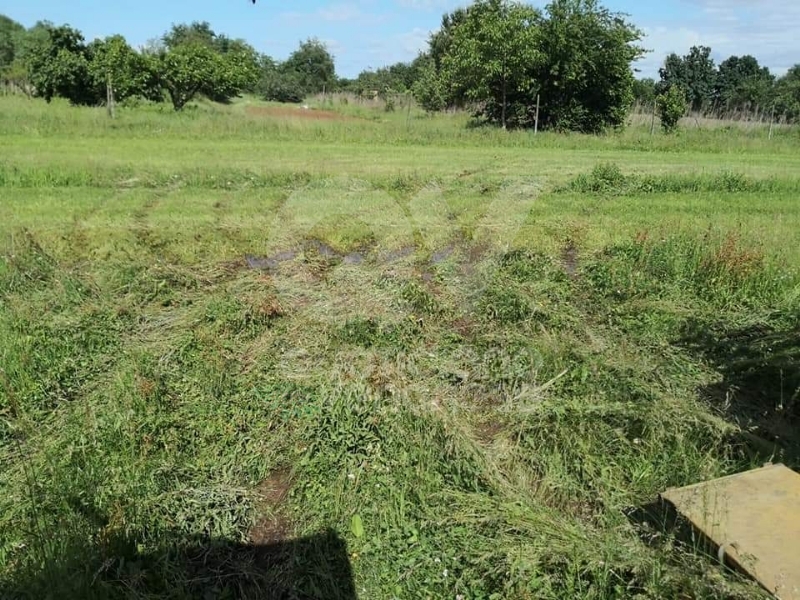 DRUENTO - Il Suv passa sui terreni agricoli di Strada Cortese e Strada Pasturanti, rovinandoli