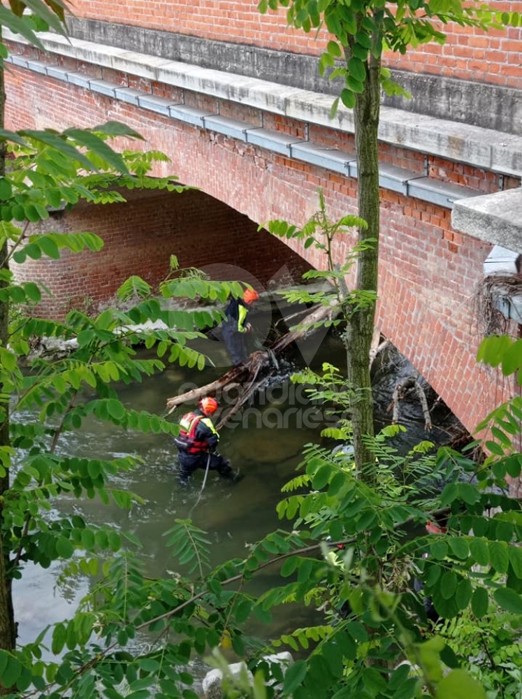 VENARIA-DRUENTO - Maltempo, allerta gialla: la Protezione Civile monitora la situazione - FOTO