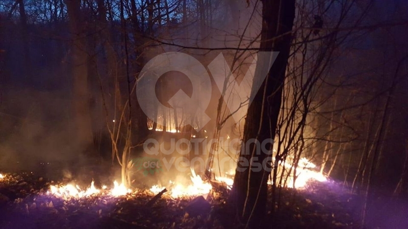 DRUENTO - Incendio boschivo in strada Rive: roghi spenti da pompieri, Aib e Protezione Civile
