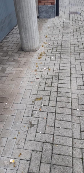 CASELLE-MAPPANO - Vandali in azione la notte di Halloween: torna il raid delle uova
