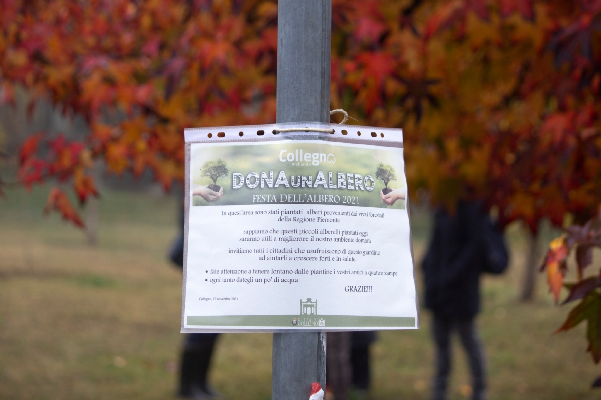 COLLEGNO - Il nuovo bosco urbano di via Catania: piante adottate da dipendenti e consiglieri comunali - FOTO