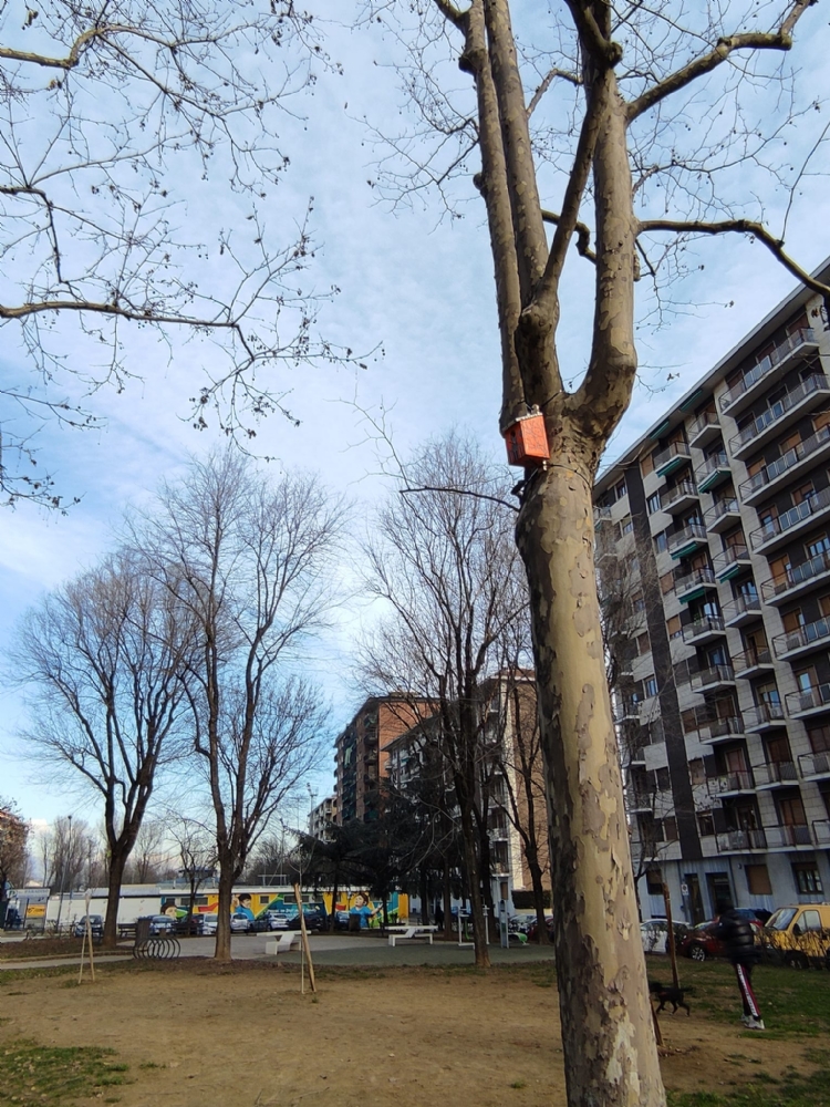 COLLEGNO - Nel giardino «Dell'Amicizia» ecco le casette per incentivare gli uccelli a nidificare - FOTO