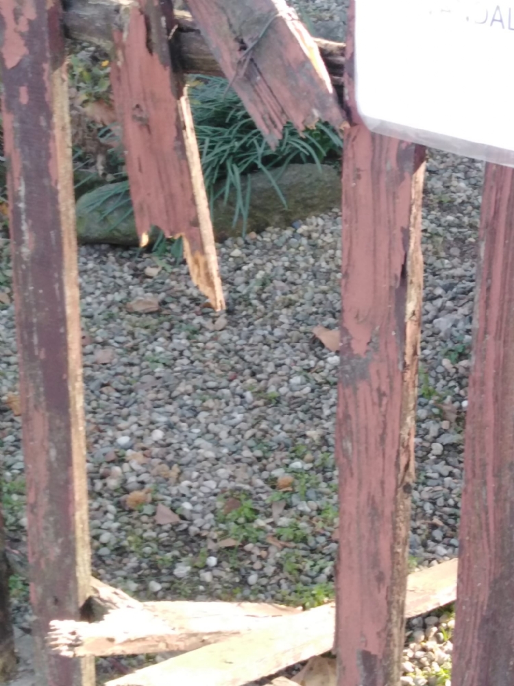 COLLEGNO - Atti vandalici al Villaggio Leumann: non è tempo di installare le telecamere?
