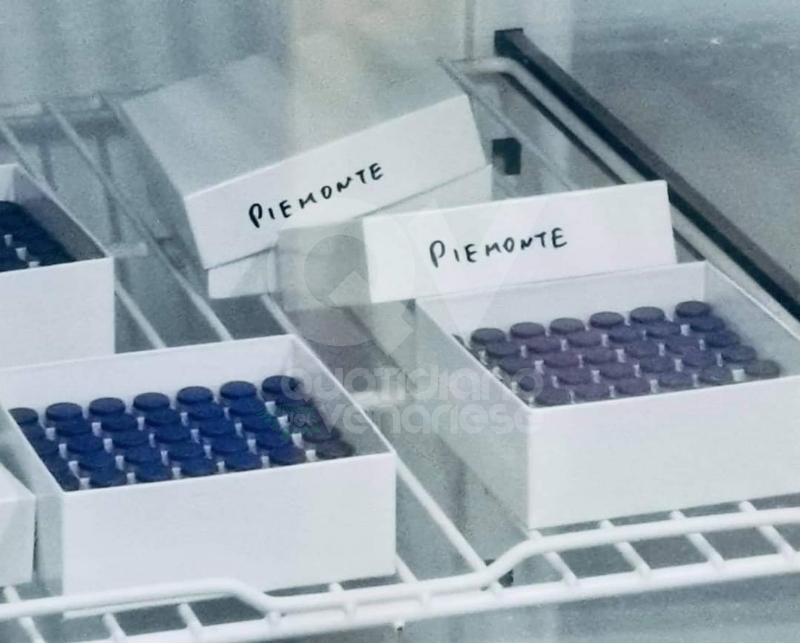 ARRIVATO IL VACCINO ANTI COVID - Ora verrà distribuito in tutto il Piemonte