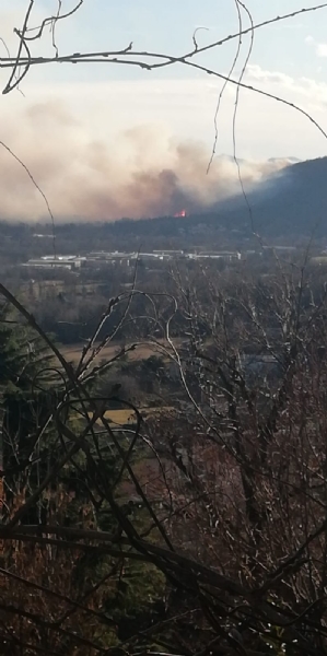 CASELETTE-VAL DELLA TORRE - Incendio sul Musiné: situazione sotto controllo