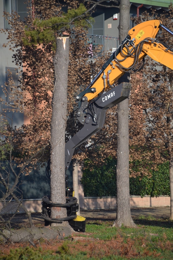 GRUGLIASCO - Via agli abbattimenti nel parco Pineta nel quartiere Borgo Nuovo - FOTO