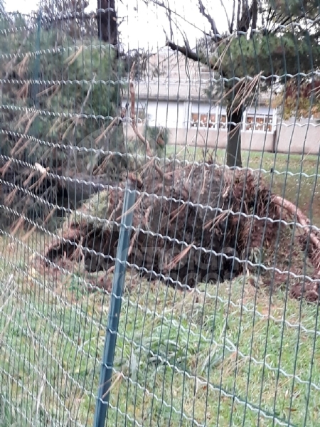 VENARIA - MALTEMPO: Parte la conta dei danni. Sopralluogo del sindaco in tutta la città