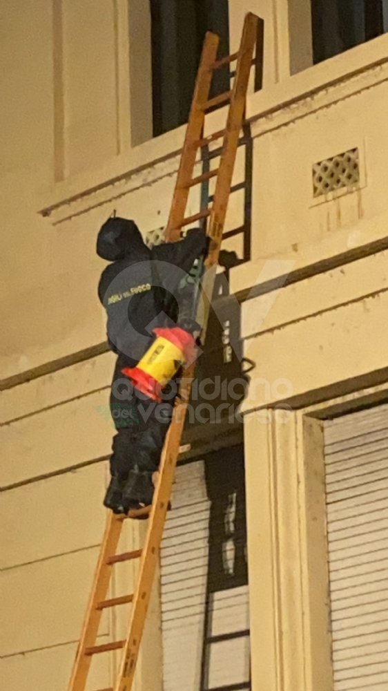 VENARIA - Tre nidi di calabroni sulla facciata della «De Amicis»: rimossi dai vigili del fuoco - FOTO