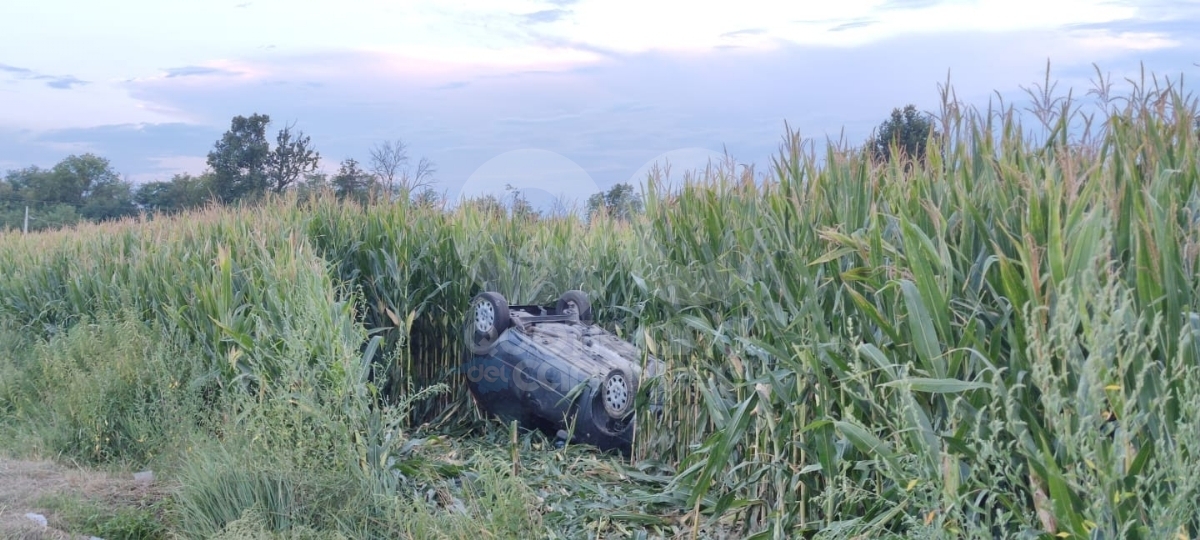 INCIDENTE SULLA 460 - Perde il controllo dell'auto e finisce fuori strada: ferito 49enne di BORGARO - FOTO