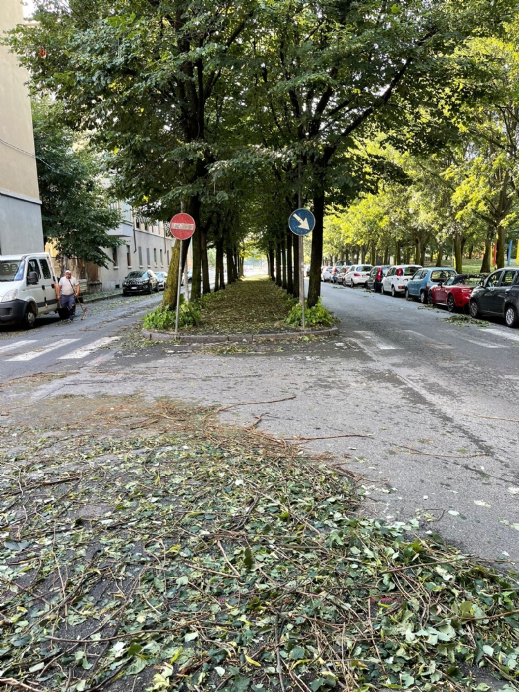 GRANDINATA A VENARIA - Danneggiata la De Amicis, caduti decine di alberi, auto rovinate. Giulivi: «Chiederemo la calamità naturale» - FOTO