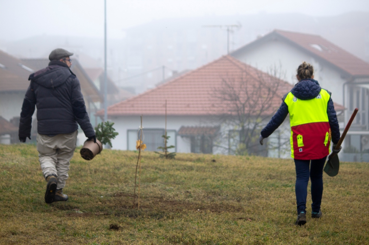 COLLEGNO - Il nuovo bosco urbano di via Catania: piante adottate da dipendenti e consiglieri comunali - FOTO