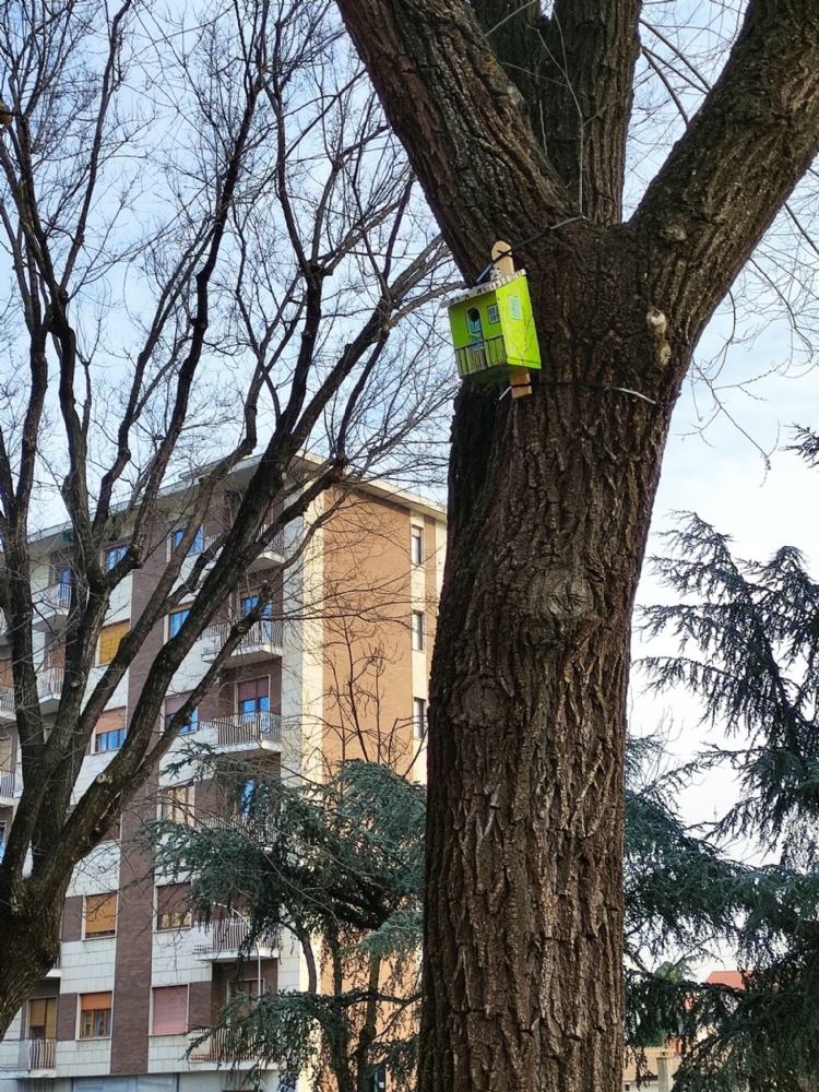 COLLEGNO - Nel giardino «Dell'Amicizia» ecco le casette per incentivare gli uccelli a nidificare - FOTO
