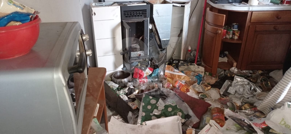 DRUENTO - Le guardie zoofile salvano un cane che viveva tra feci e immondizia - FOTO