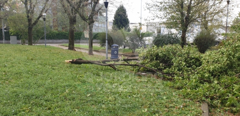 VENARIA-BORGARO-CASELLE-MAPPANO - Maltempo: tetti scoperchiati e alberi abbattuti
