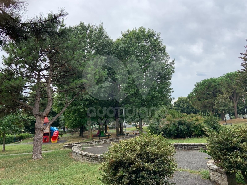 RIVOLI - Nuovo look per le aree verdi comunali: pulizia e taglio dell'erba
