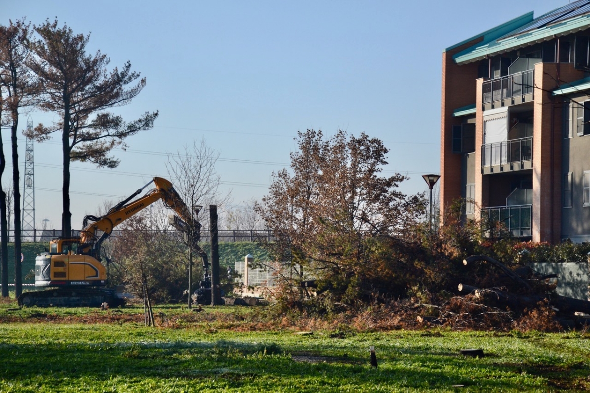 GRUGLIASCO - Via agli abbattimenti nel parco Pineta nel quartiere Borgo Nuovo - FOTO