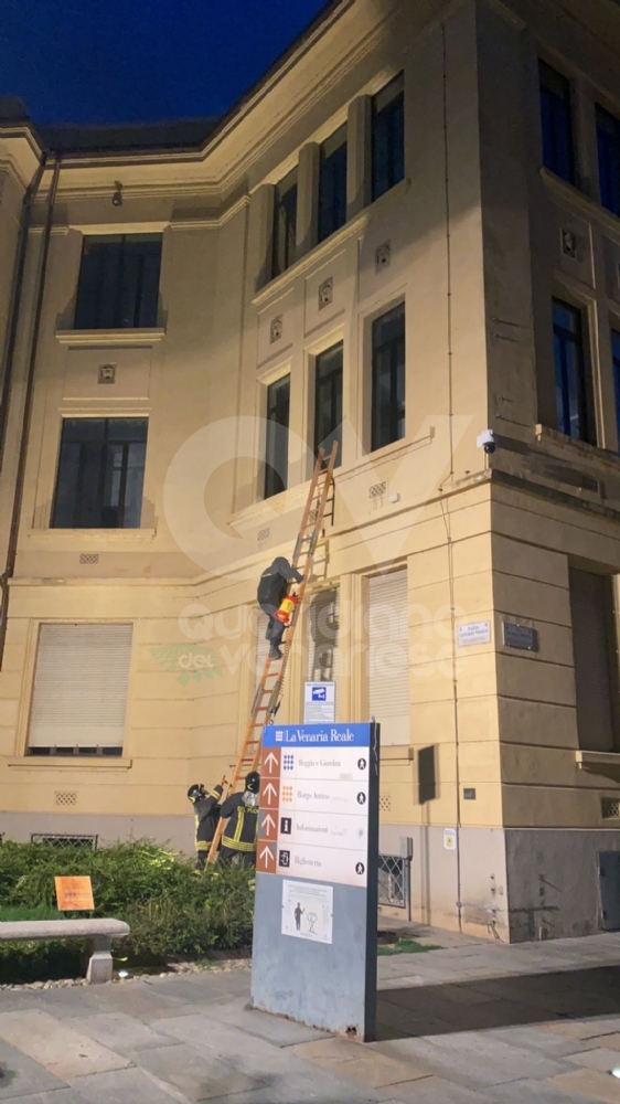 VENARIA - Tre nidi di calabroni sulla facciata della «De Amicis»: rimossi dai vigili del fuoco - FOTO