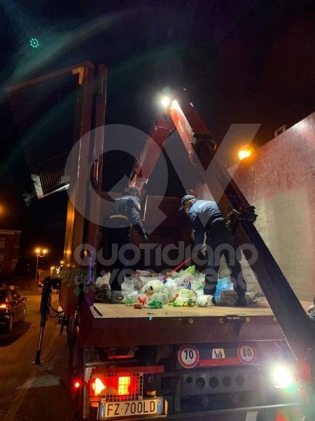 BORGARO - «Ci sono degli animali nei bidoni della plastica»: civich e carabinieri in via Santa Cristina