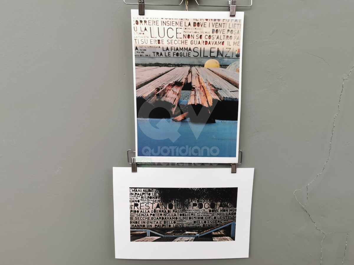 VENARIA - I ragazzi della Lessona provetti fotografi: successo per la loro mostra - FOTO