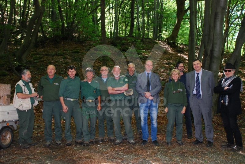 GRUGLIASCO - Liberati quattro giovani caprioli, curati dal Centro Animali Non Convenzionali
