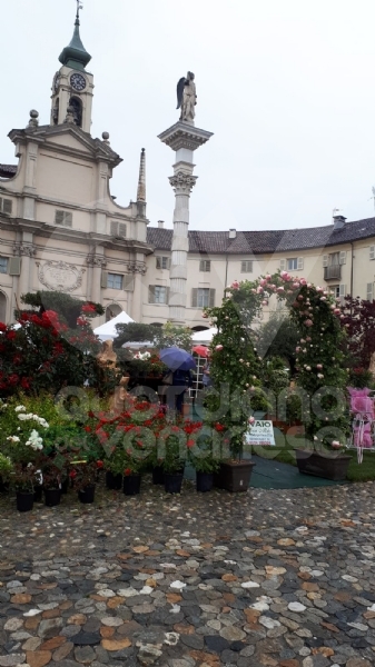 VENARIA - «Festa delle Rose»: un successo a metà per colpa della pioggia
