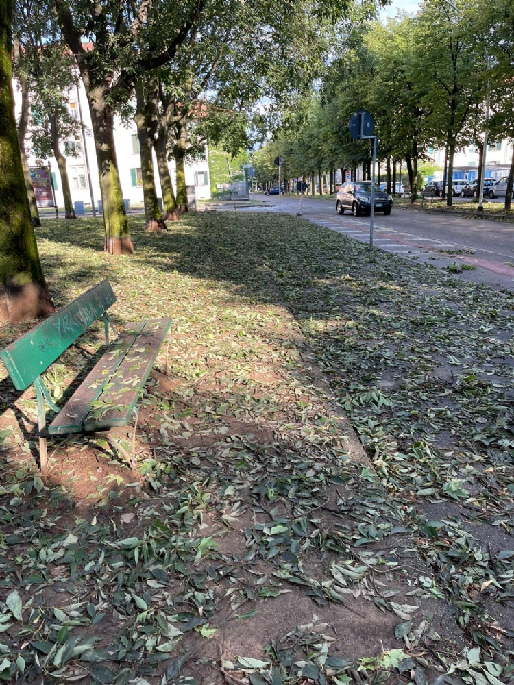 GRANDINATA A VENARIA - Danneggiata la De Amicis, caduti decine di alberi, auto rovinate. Giulivi: «Chiederemo la calamità naturale» - FOTO