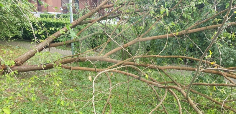 VENARIA-BORGARO-CASELLE-MAPPANO - Maltempo: tetti scoperchiati e alberi abbattuti