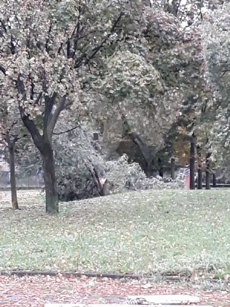 VENARIA - MALTEMPO: Parte la conta dei danni. Sopralluogo del sindaco in tutta la città