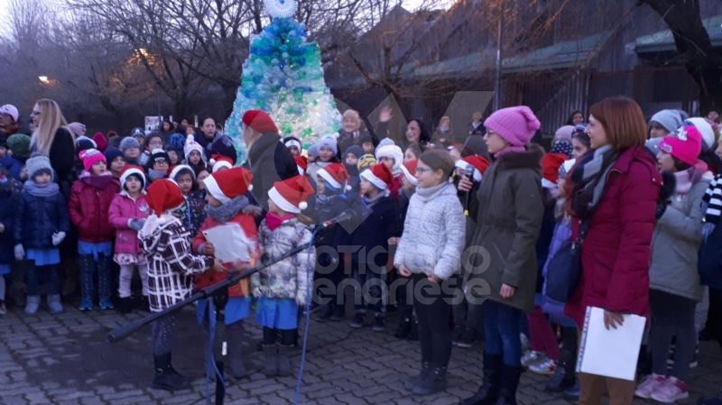 VENARIA - Alla Romero ecco l'albero creativo: realizzato con le bottiglie di plastica vuote
