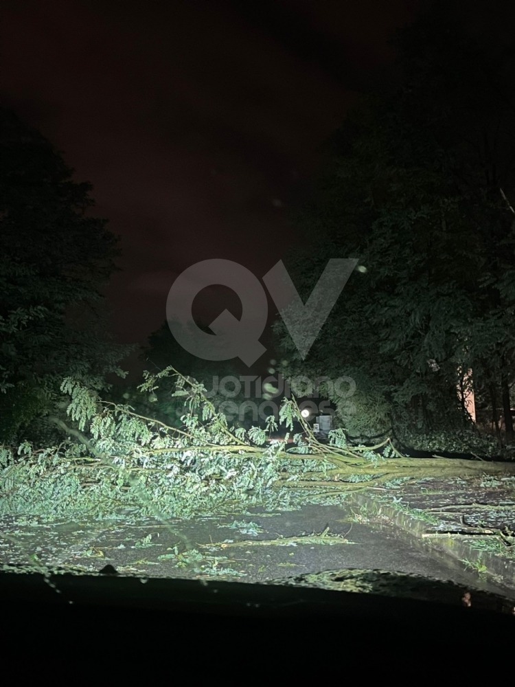 GRANDINATA A VENARIA - Danneggiata la De Amicis, caduti decine di alberi, auto rovinate. Giulivi: «Chiederemo la calamità naturale» - FOTO