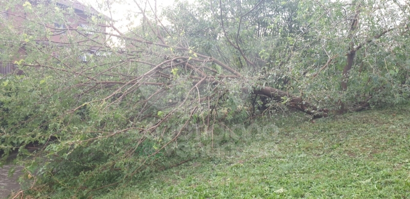 VENARIA-BORGARO-CASELLE-MAPPANO - Maltempo: tetti scoperchiati e alberi abbattuti