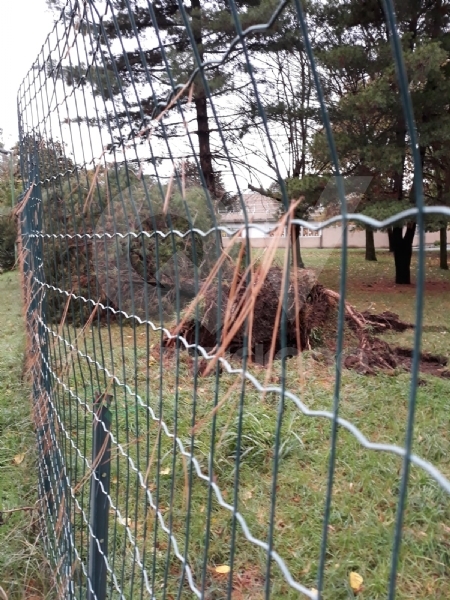 VENARIA - MALTEMPO: Parte la conta dei danni. Sopralluogo del sindaco in tutta la città