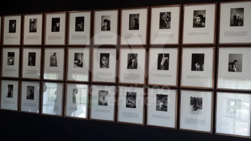 VENARIA - Le guerre immortalate negli scatti di Pellegrin nella mostra «Un'Antologia» alla Reggia - FOTO