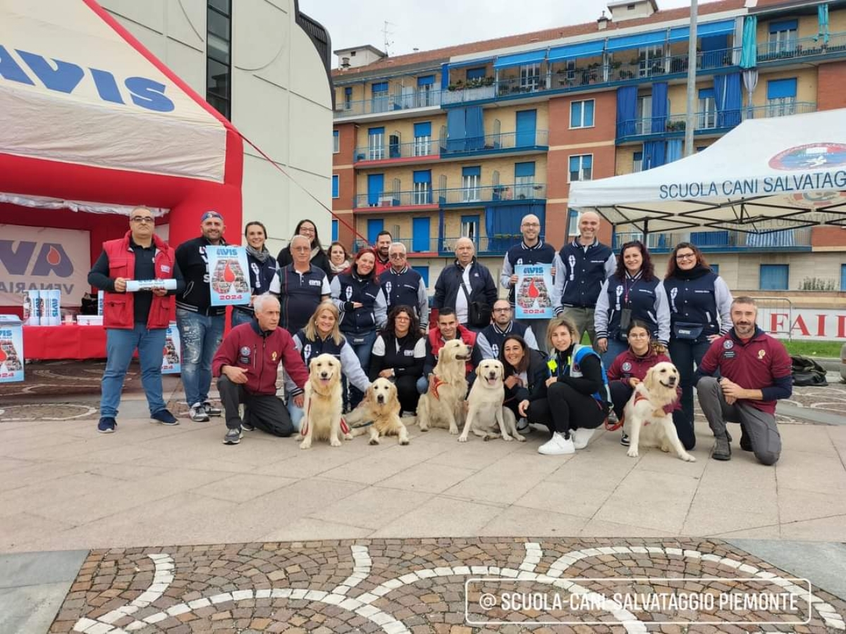 VENARIA - Dopo il successo della Castagnata, l'Avis inizia la distribuzione dei calendari 2024