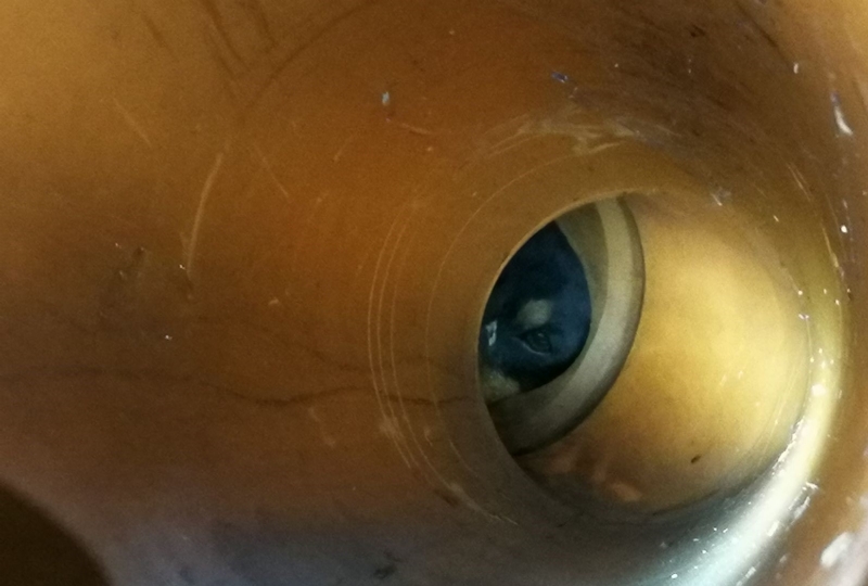 CASELLE - Tre cani incastrati in un tubo rischiano di morire: salvati dai vigili del fuoco - FOTO