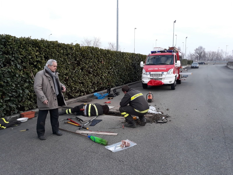 CASELLE - Tre cani incastrati in un tubo rischiano di morire: salvati dai vigili del fuoco - FOTO