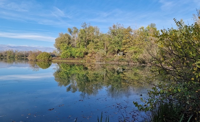 BORGARO - Grazie all'Oipa e al Pan, nuova vita per il lago del Villaretto, l'ex Isola del Pescatore