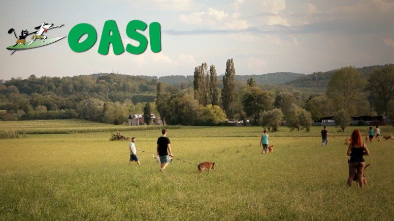 ALPIGNANO - Chi trova un amico a 4 zampe trova un tesoro: all'Oasi un rifugio e pensione immerso nella natura